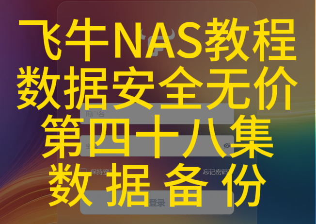 48集 飞牛riad磁盘阵列和备份功能介绍